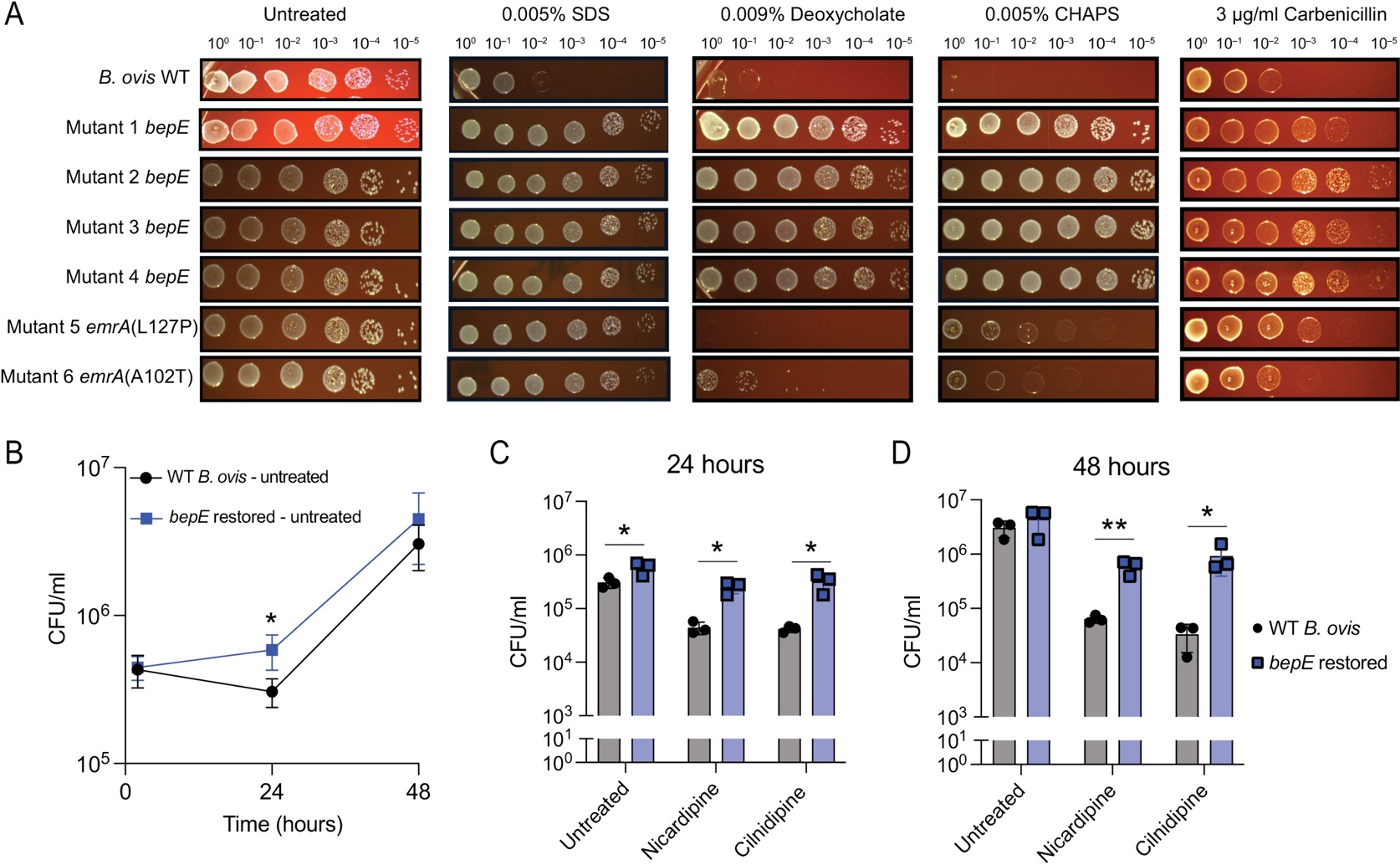 Turning On a Hidden Gene Unlocks Stress Resistance in Bacteria