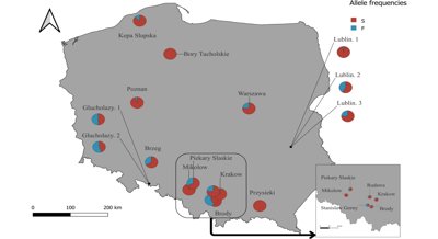Genetic Variations in Mites: Patterns and Life Impacts