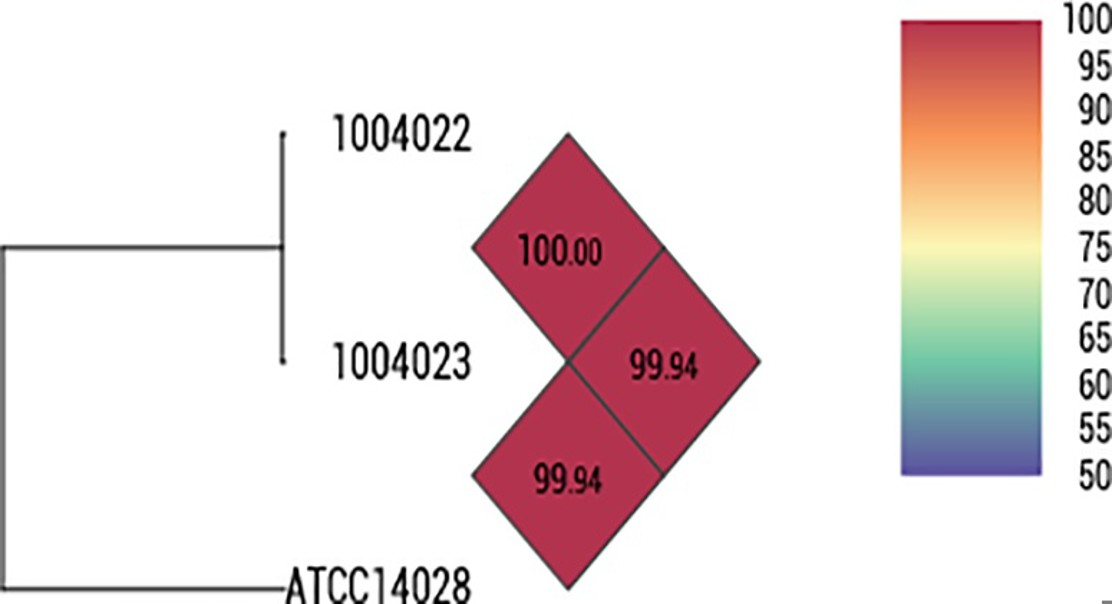Better Salmonella Control For Lab Tests