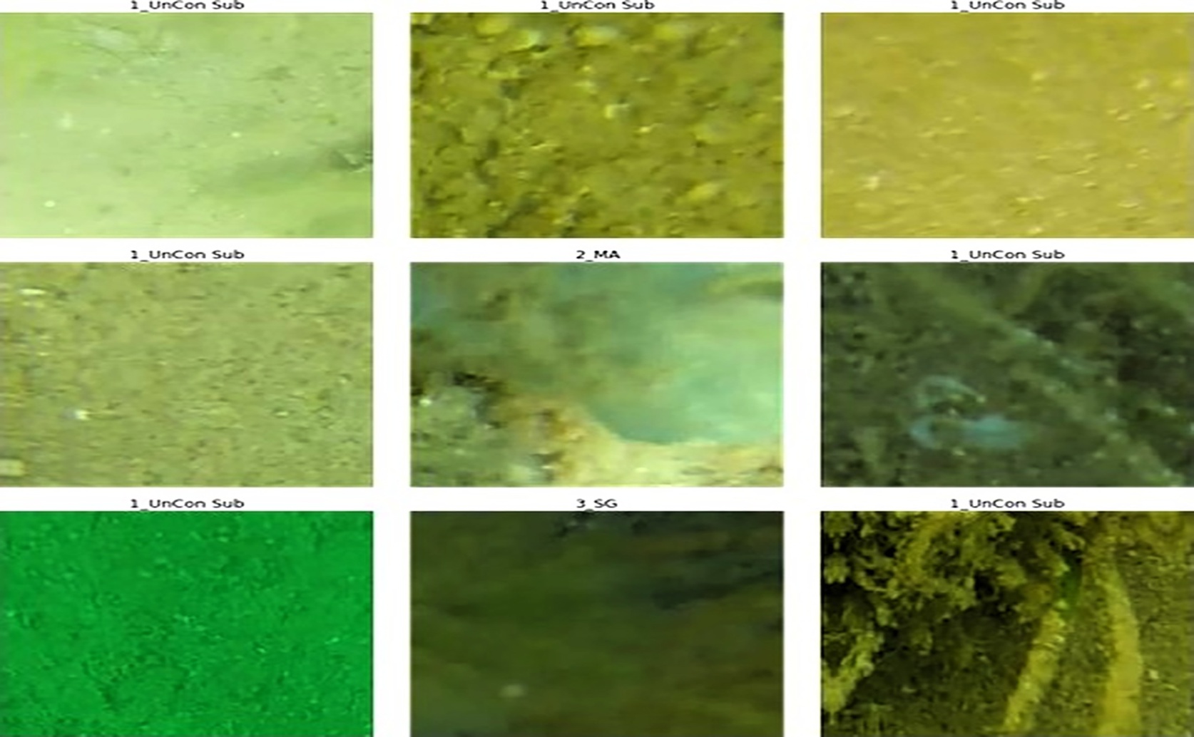 Better Management of Water Environments Using AI Images
