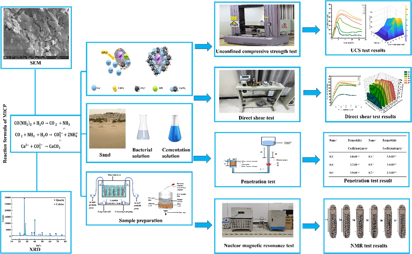 How Bio-Cement Strength and Fibers Make Sand Stable