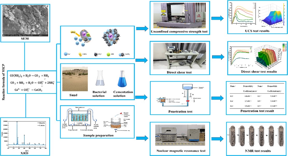 How Bio-Cement Strength and Fibers Make Sand Stable