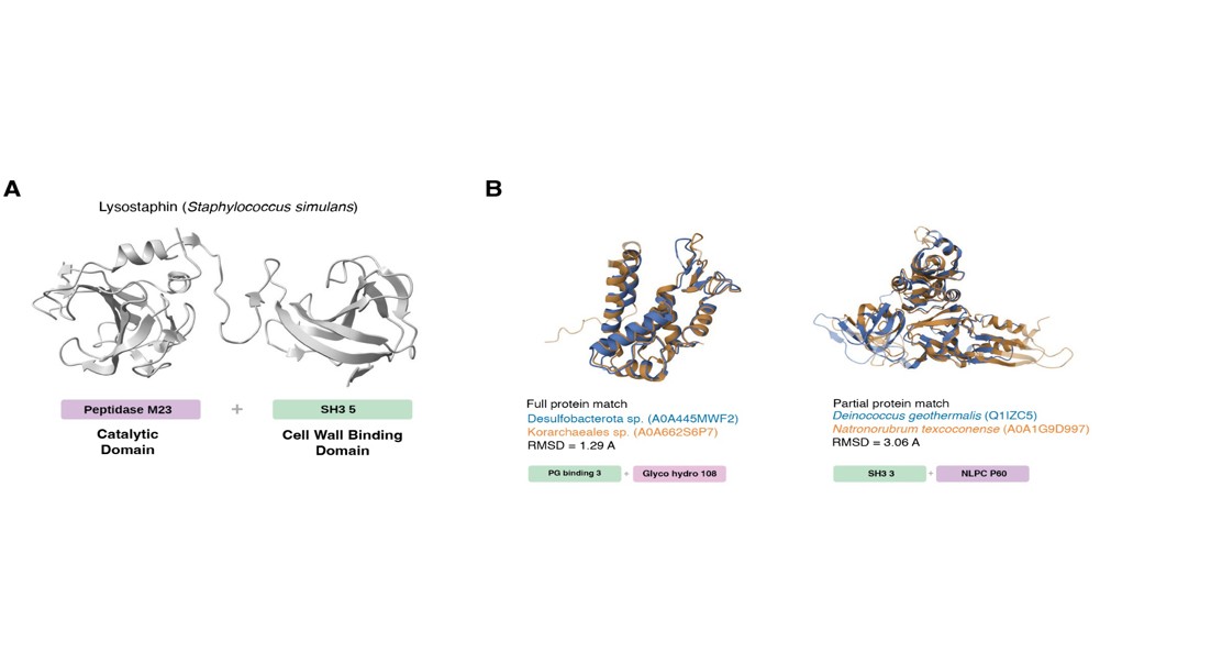 Tiny Life Forms Make Cell-Destroying Chemicals That Kill Other Microbes