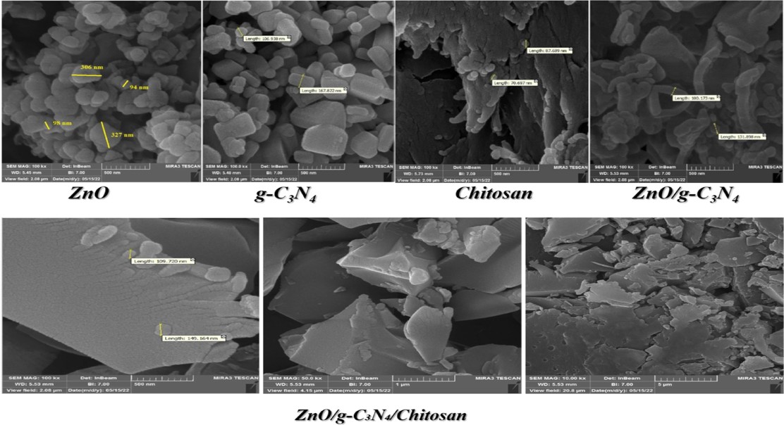 New Green Solution For Oil Spills Using Nanomaterials And Spirulina