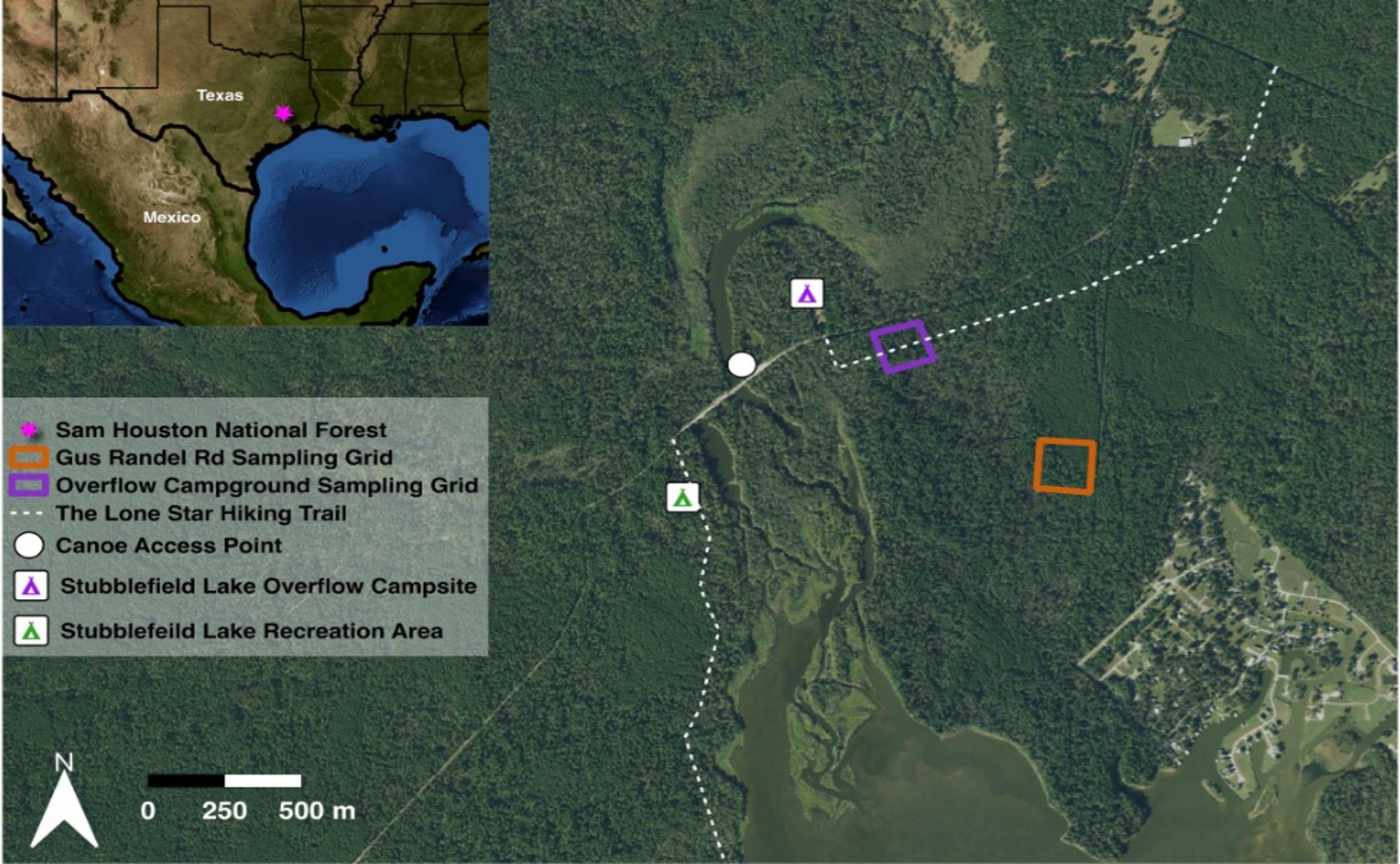 Tick Life Cycles, Host Relationships, and Disease Tracking in a Texas Forest