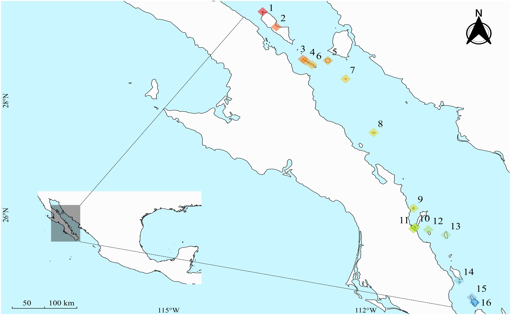 How Ocean Nutrients Affect Island Reptiles That Eat Insects and Plants