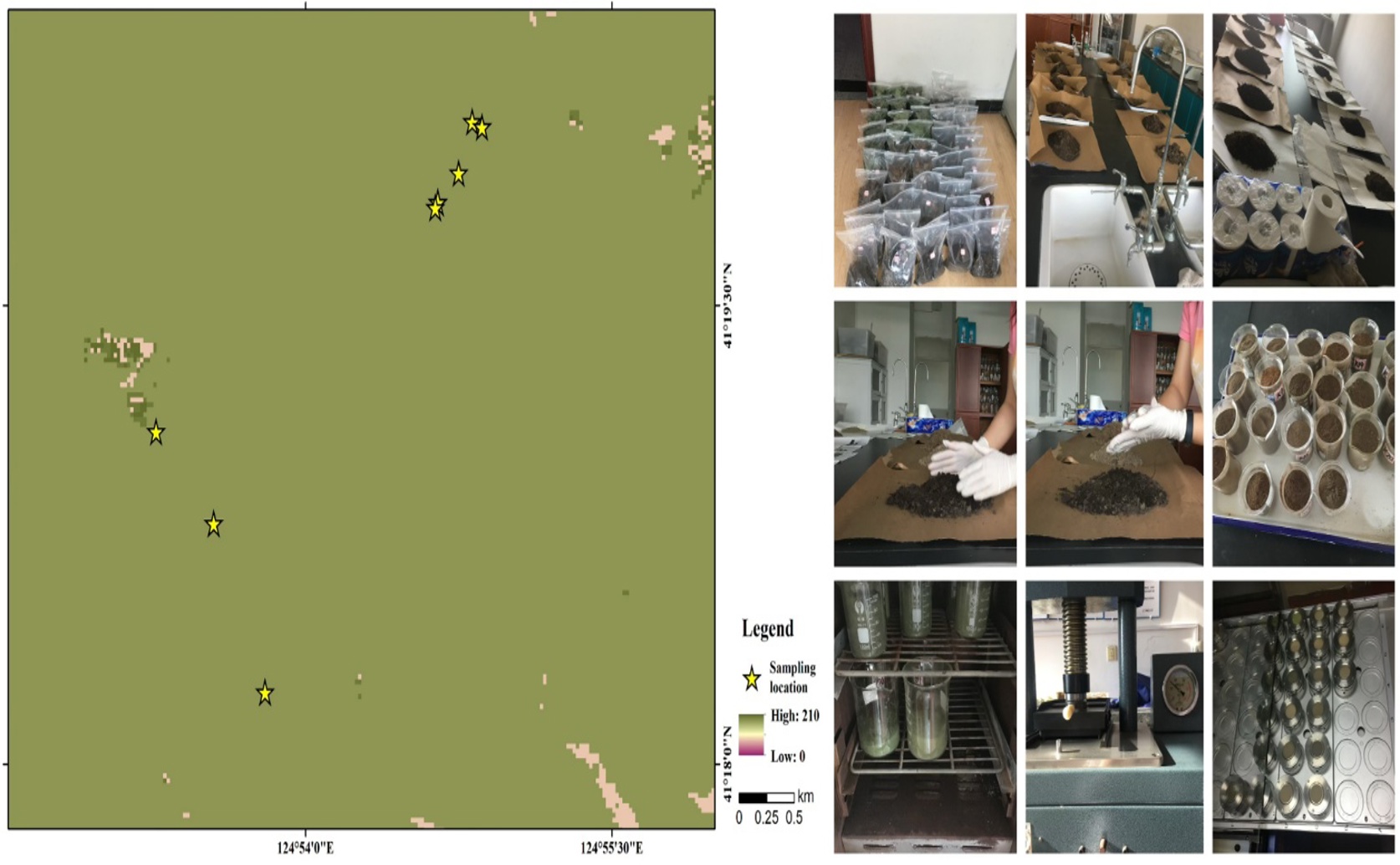 Nutrient Balance in Forest Leaves, Debris, and Soil