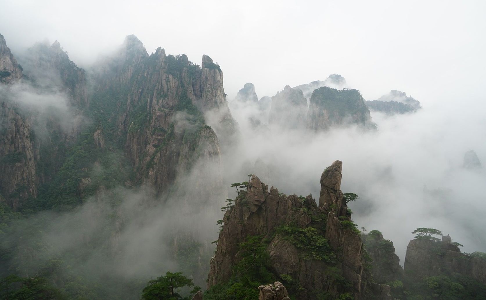 How Environmental Factors Shape Forest Groupings in the Huangshan Mountains