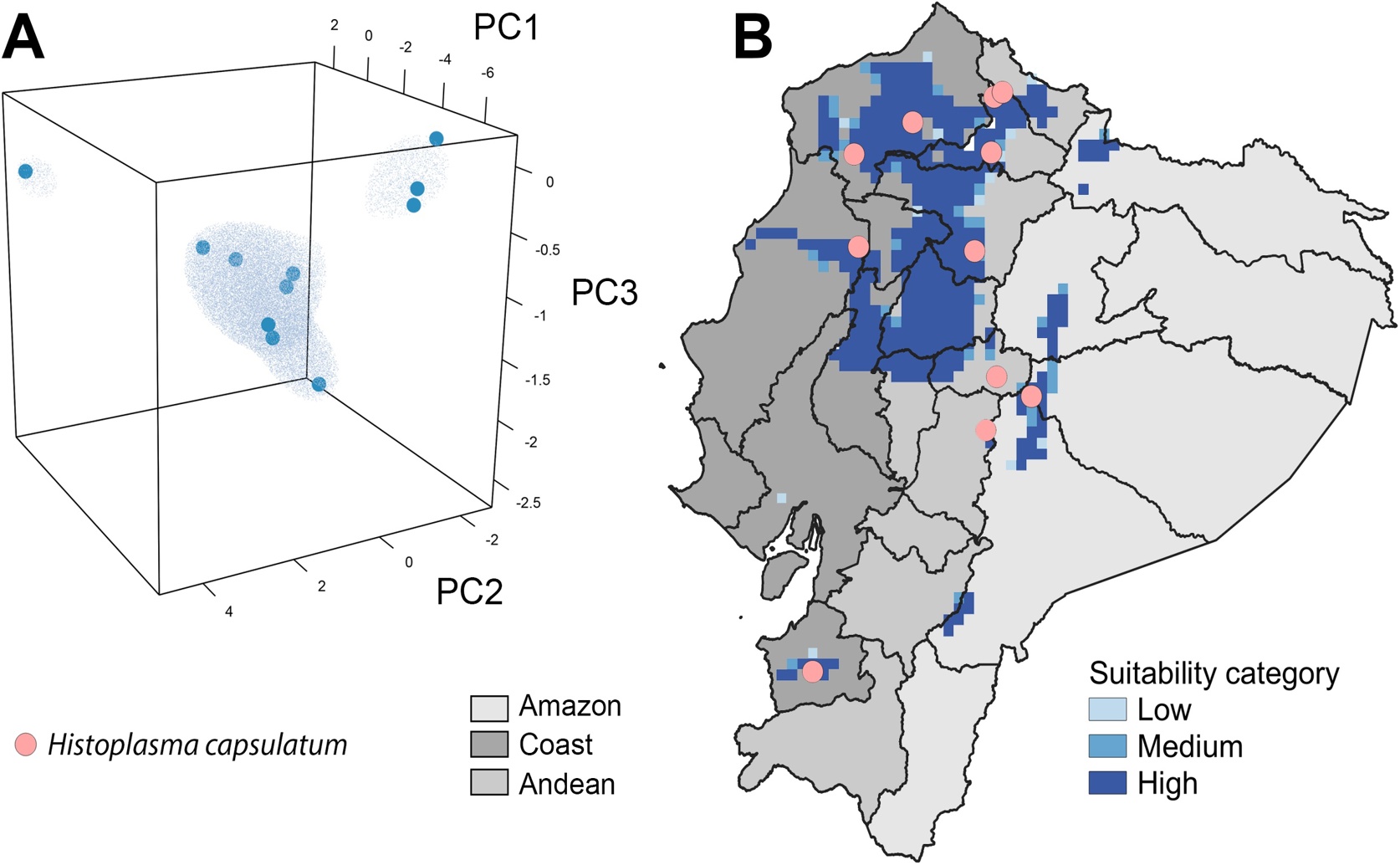 Fungal Disease Found in Wild Mammals