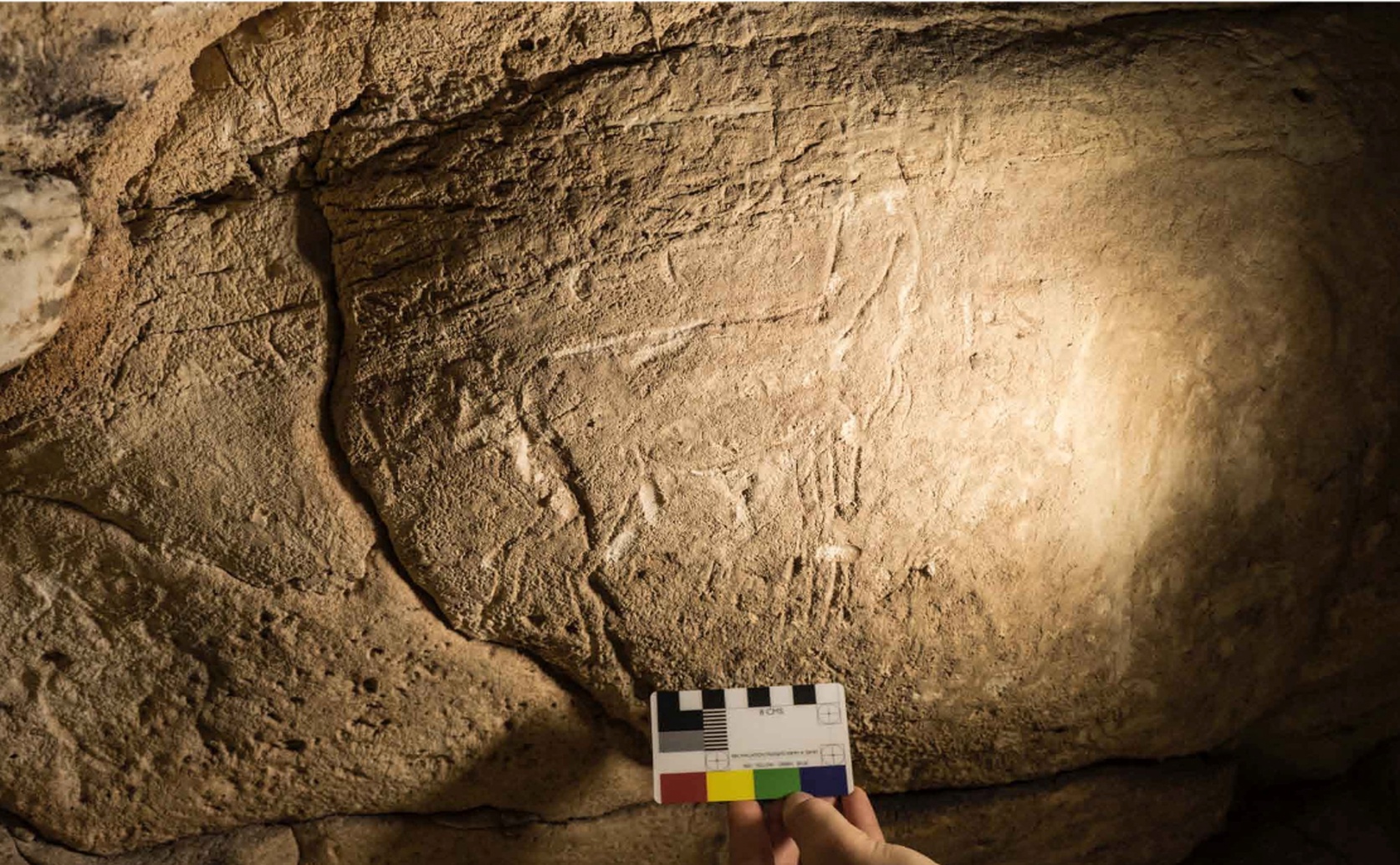 Discovering Ancient Diets: Early Bronze Age People Ate Horse Meat