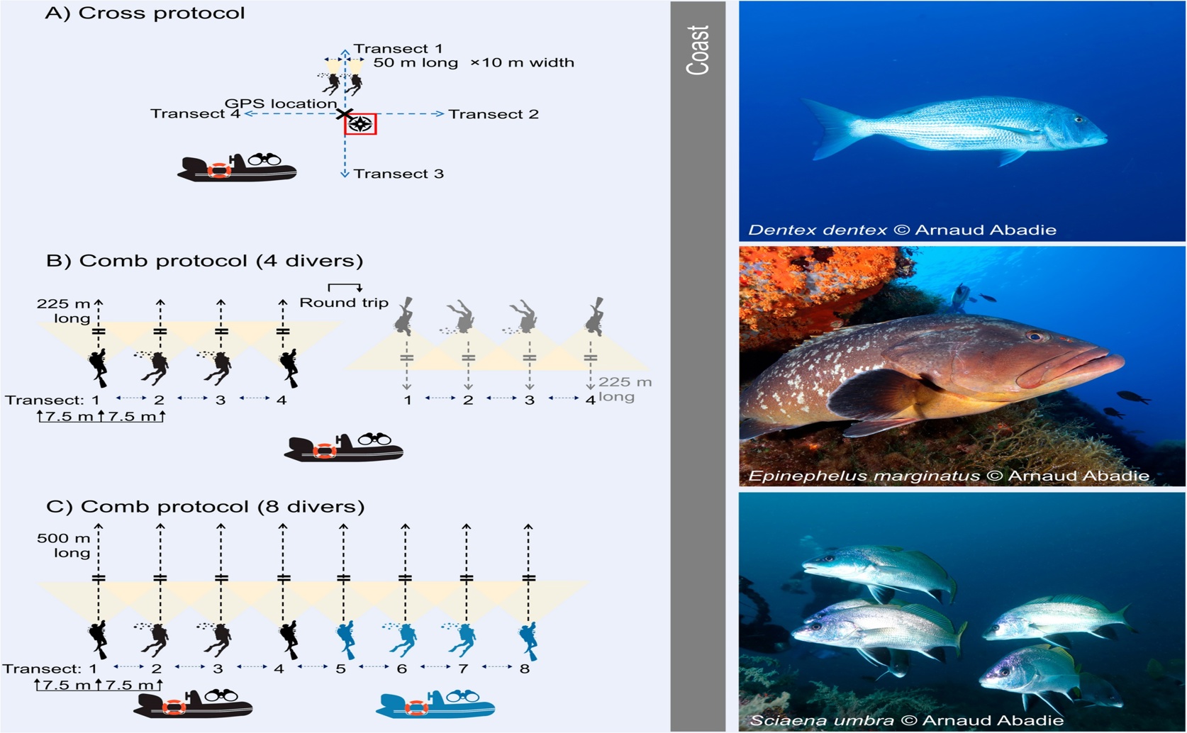 How Well Do Marine Protected Areas Help Fish Populations?