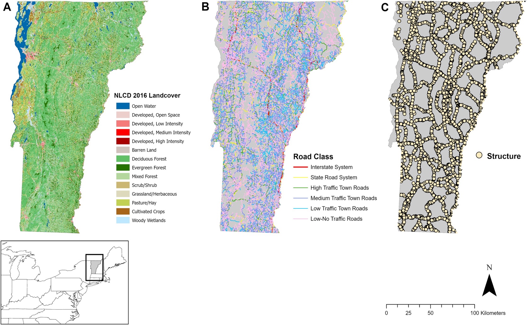 Roads and Wildlife: How Structures Help Animals Cross Forests