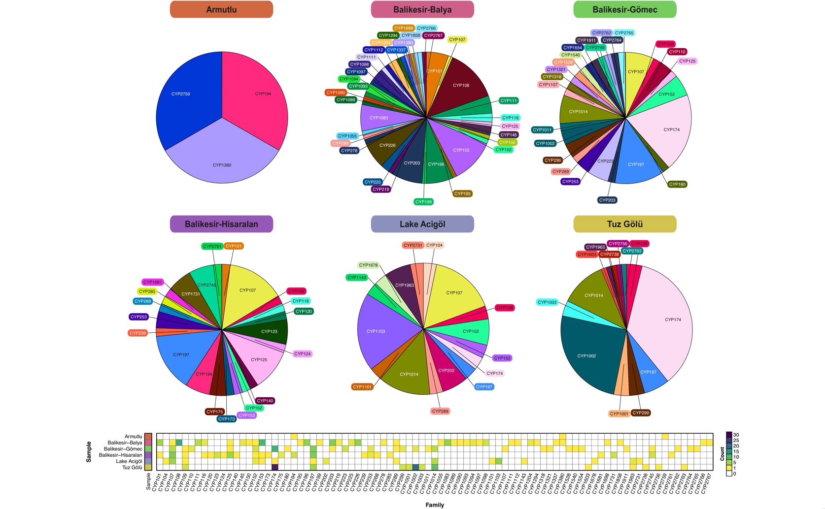 Searching Unusual Places for New Enzymes Using DNA Analysis