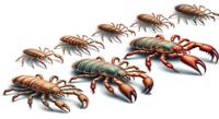 Evolving Claw Shapes in Scavenging Mites