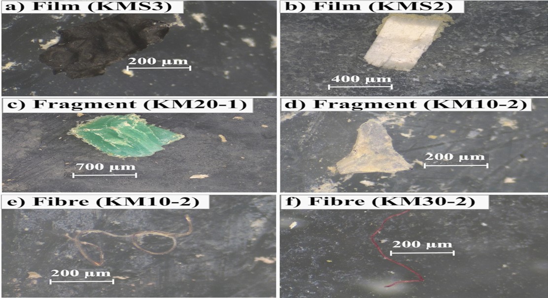 Microplastic and Trace Element Pollution in Farm Soils: A Risk Comparison