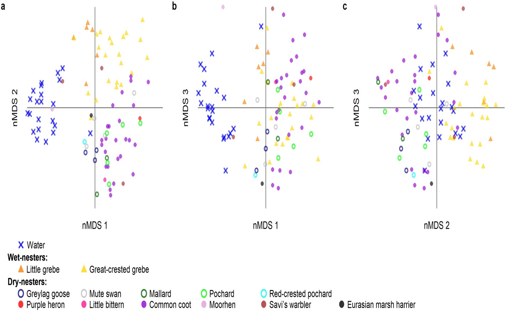 Bacteria on eggs reveal bird nesting habits in wetlands