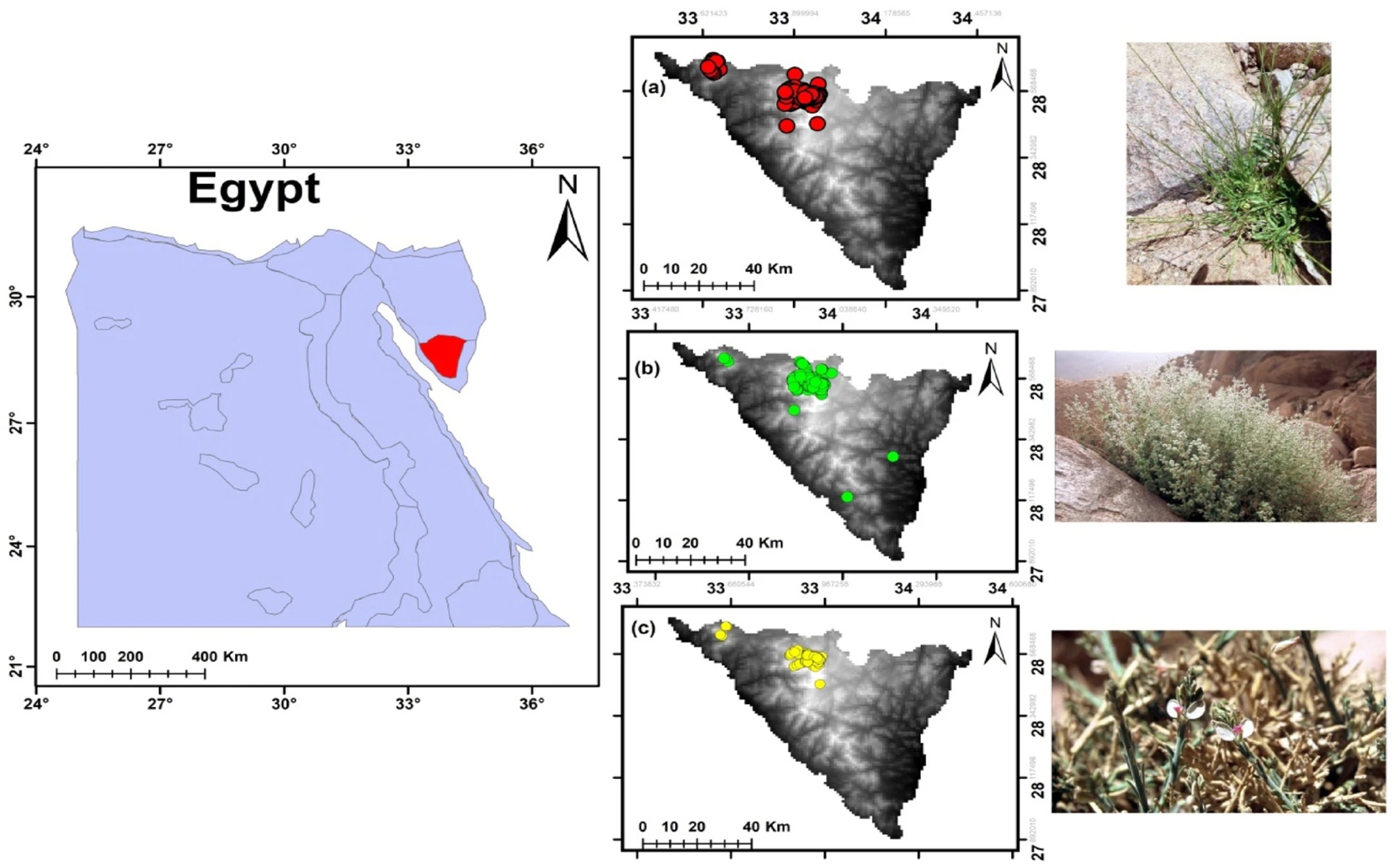 Evaluating the Future of Three Rare Plants Under a Changing Climate