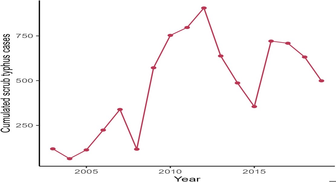 Scrub Typhus in Nan Province: How Changing Landscapes Affect Disease Risk