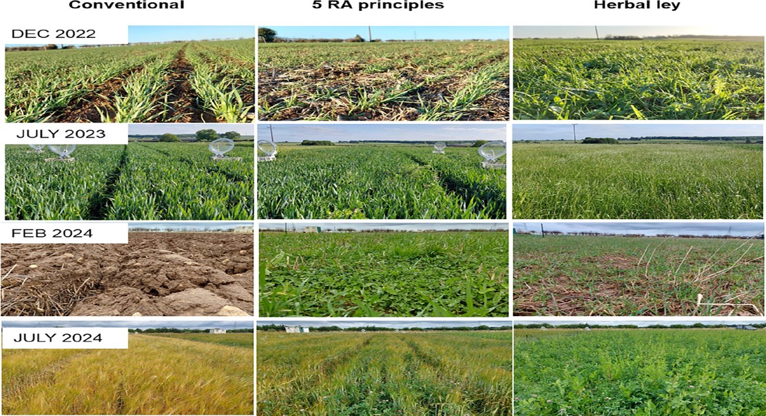 How Regenerative Agriculture Impacts Communities and the Environment Over Time