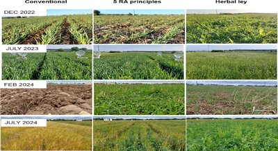 How Regenerative Agriculture Impacts Communities and the Environment Over Time