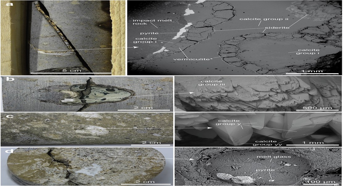 Deep Microbe Life in Impact Crater Hot Springs