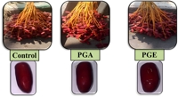 How Palm Pollen Affects the Quality of Date Fruits