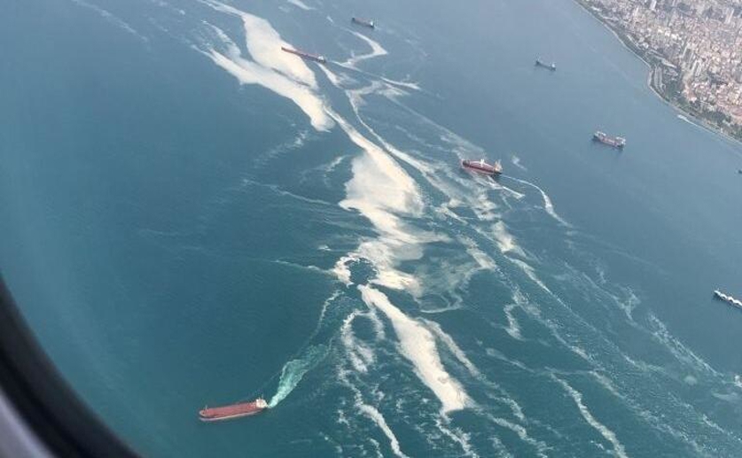 New Deep Learning System Automatically Spots Sea Snot Using Satellite Data