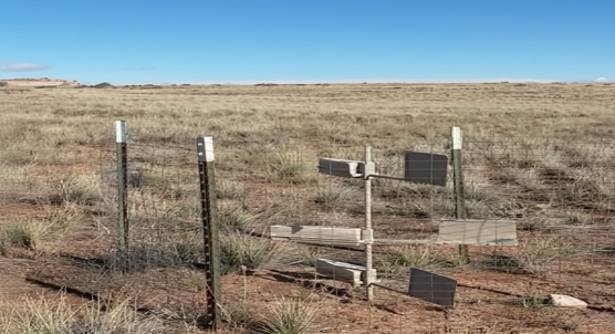 Season, Wind, and Rain Influence Sediment Transport Models