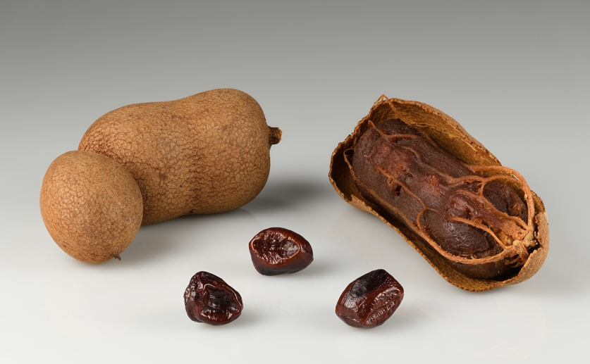Tamarind Seed Compounds May Help Regulate Blood Sugar Through Enzyme Inhibition