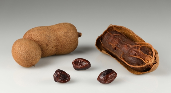 Tamarind Seed Compounds May Help Regulate Blood Sugar Through Enzyme Inhibition