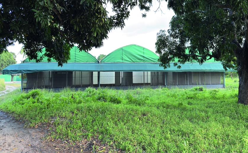 BiteBarrier Provides Strong Protection Against Malaria and Arbovirus Mosquitoes