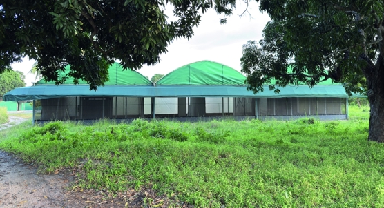 BiteBarrier Provides Strong Protection Against Malaria and Arbovirus Mosquitoes