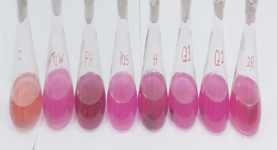 Blue-green algae shows promise as a new source of a cancer-fighting enzyme