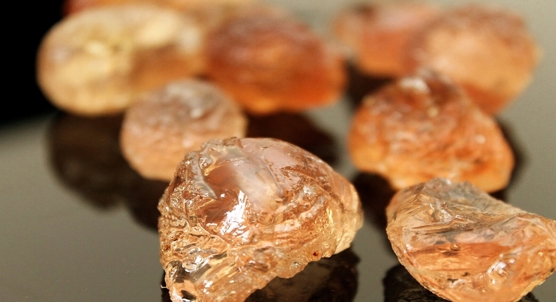 Gum Arabic impacts gut health and well-being, insights from zebrafish
