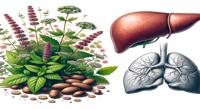 Dangers of Herbal Remedies on Liver Health in Ayush Medicine