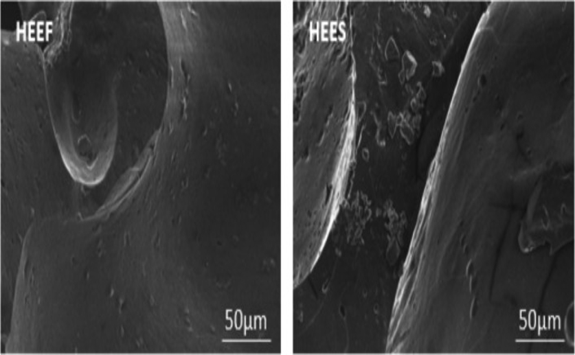 Saffron varieties differ in chemical makeup and effects on cells