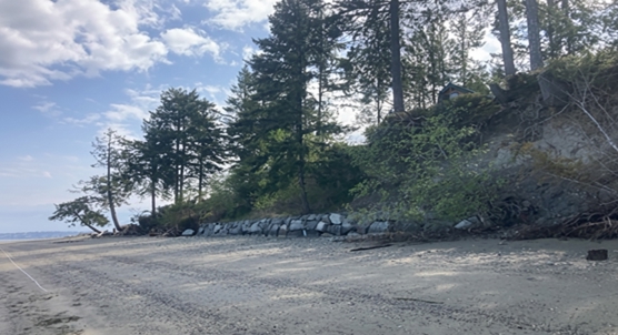 How coastal bluffs support shorelines: Guiding protection and recovery efforts