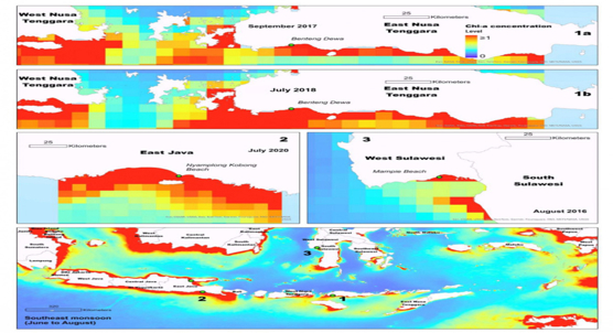 Where and when whale sharks strand, and what ocean conditions may be to blame