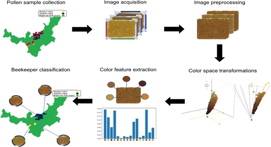 Study identifies bee pollen types based on where they come from using AI