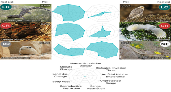 New tool identifies overlooked areas crucial for protecting animals