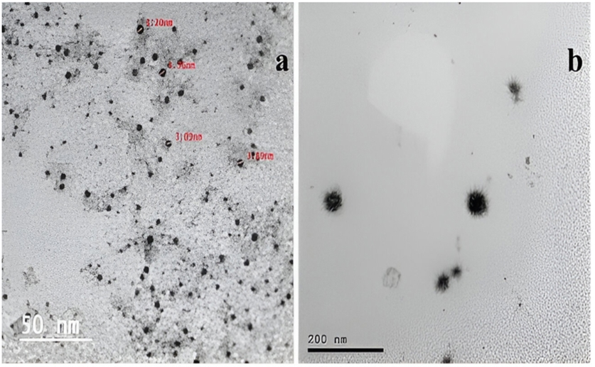 Garlic and Gum Arabic nanoparticles protect stored grains from beetle damage