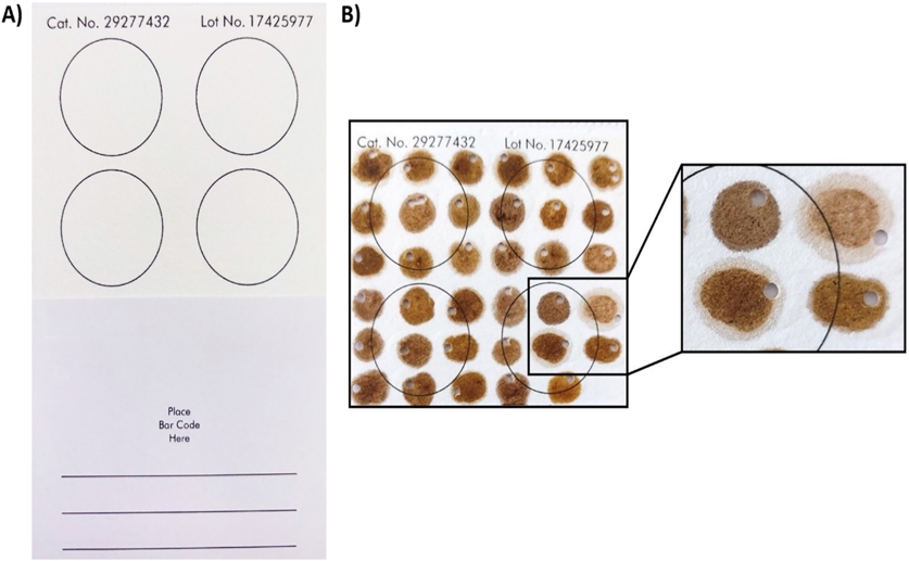 Simple DNA tests can quickly detect diseases in honey bees