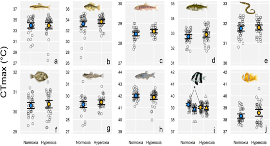 Extra oxygen doesn't protect freshwater creatures from warming waters