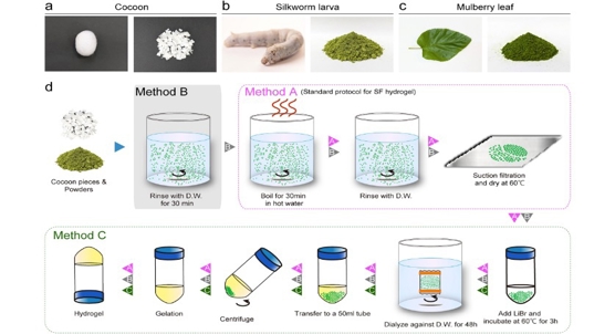 Silkworm protein creates new hydrogel for potential biomedical uses