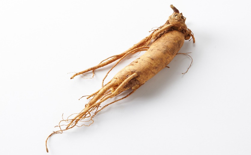 Ginseng leaf extract boosts growth, quality and energy use in young fish