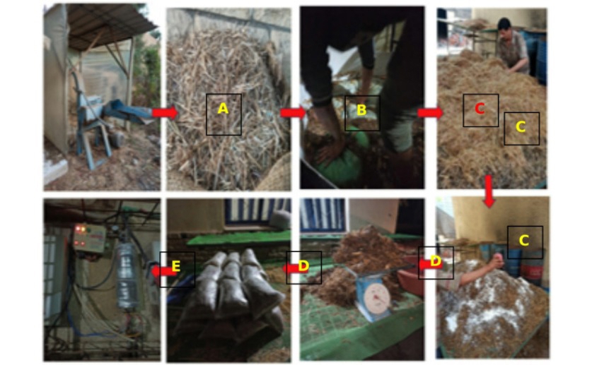 New growing mixes from chia seeds boost oyster mushroom yields
