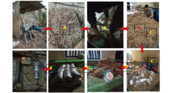 New growing mixes from chia seeds boost oyster mushroom yields