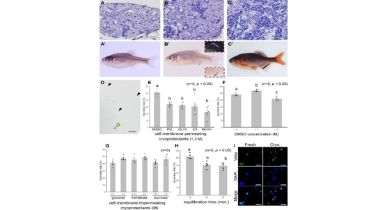 Frozen sperm helps revive endangered fish species