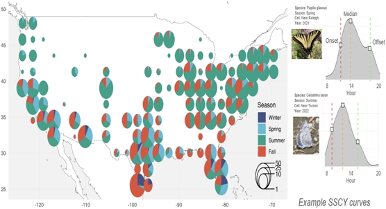 How weather and butterfly traits shape daily activity, revealed by volunteers