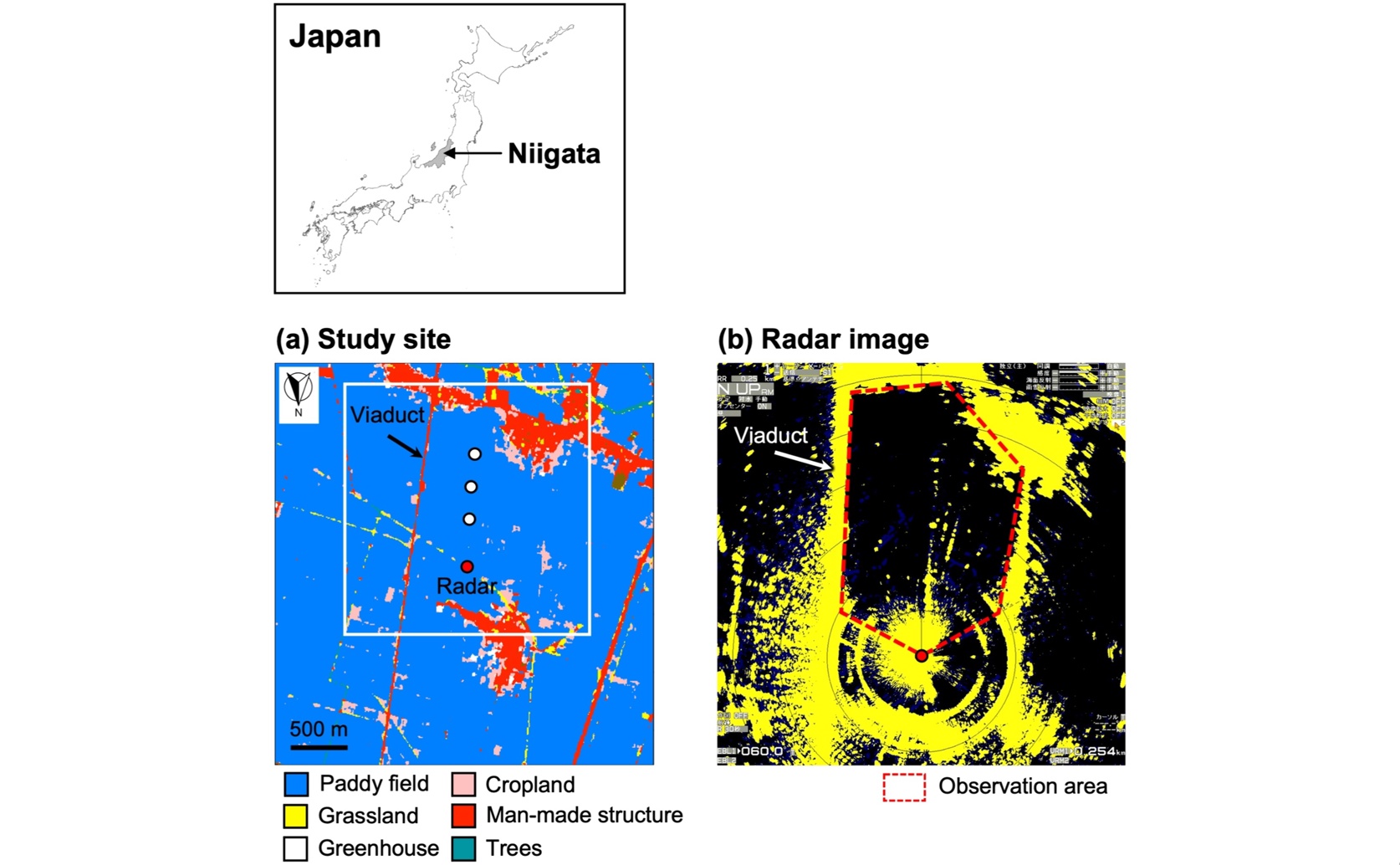 Radar system accurately tracks small, free-flying bats